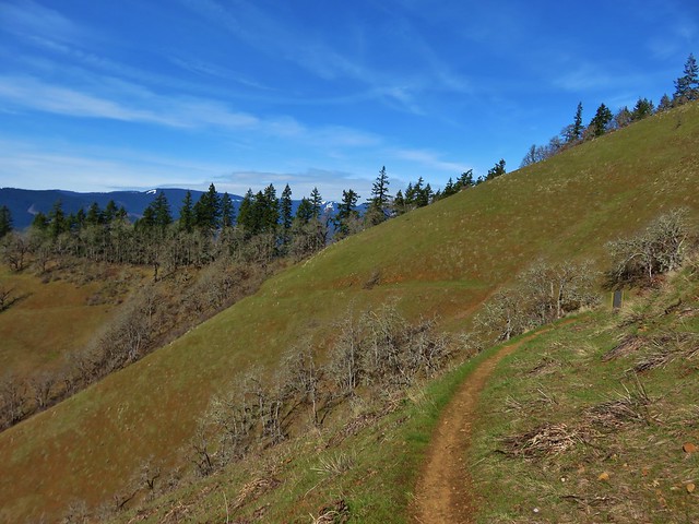 Weldon Wagon Trail