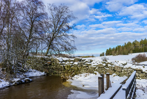 trees winter green nature clouds woodland suomi finland landscape stream riverside outdoor snowy bluesky lieto nautelankoski