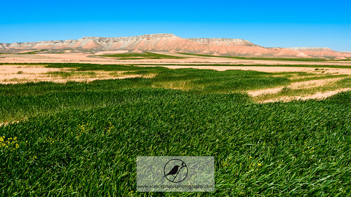 landscape outdoors spring spain bush sand hill zaragoza plain scrub esp naturalworld naturephotography belchite aragón drylands scrubland elplanerón