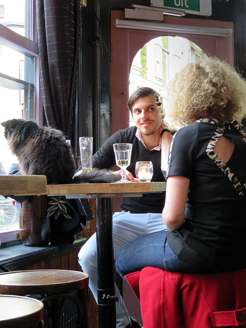 The bar cat at the Heen and Meer Pub in Utrecht, Holland