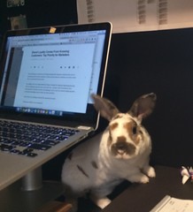 Olaf explores the new work station