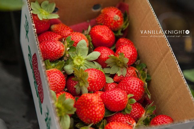 【草莓蛋糕的秘密】小農直送！埔里無毒草莓園的新鮮草莓~@香草騎士