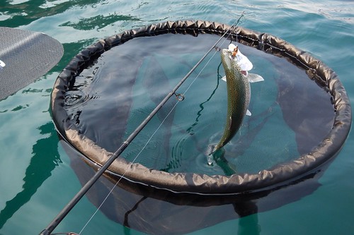 Floating Fishing Net