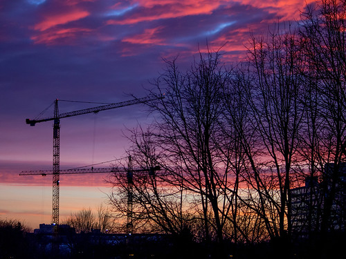 morning trees sky silhouette sunrise dawn construction crane redsky