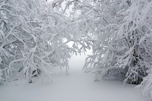 winter snow vinter snø buskerud dagalifjell