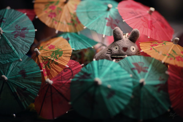 Day #95: totoro is ready for the Sunny summer
