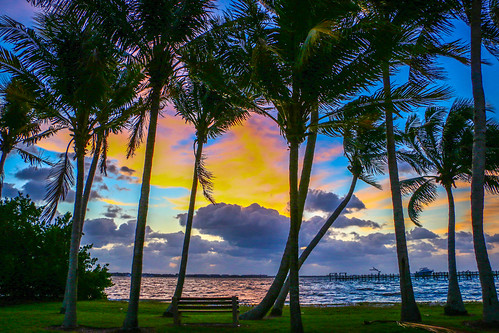morning trees sky usa sun nature colors clouds palms outside outdoors dawn colorful florida cloudy stuart palmtrees indianriver sunris sewellspoint parkstuart