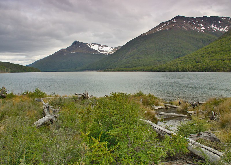 Parque Karukinka (Tierra del Fuego) - Por el sur del mundo. CHILE (27)