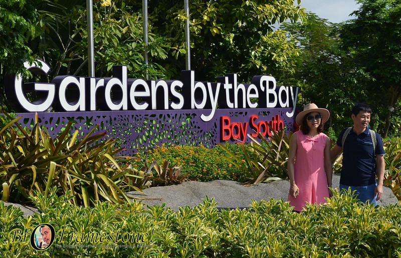 Garden by the bay, Singapore