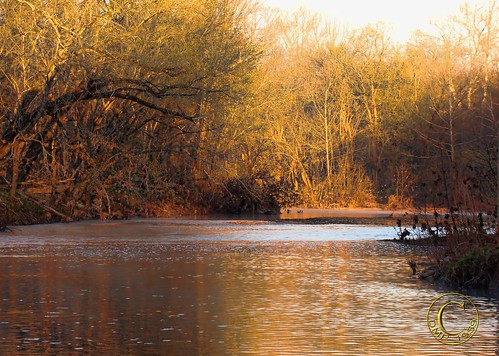 dmp1959 dogbluff missouri river lazy sun sunrise trees yellow water waterfront natureinfocusgroup