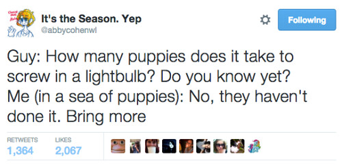 puppies.png