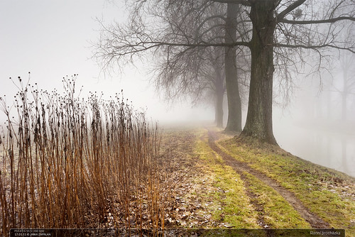 morning trees winter fog river landscape czech path zlin krajina drevnice
