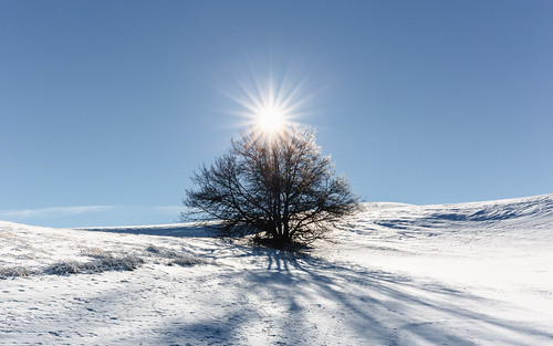 winter sun snow tree nature landscape washington bluesky pacificnorthwest sunburst sunstar canoneos5dmarkiii johnwestrock canonef1635mmf4lis