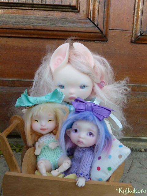 Famille de Trolls♣Dust of dolls Spun, arie & kete 24547987193_29b27f1274_z