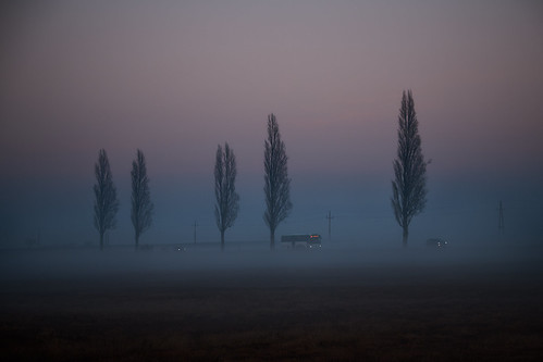 tree nature fog landscape geotagged österreich nebel outdoor nopeople landschaft baum burgenland aut xf podersdorfamsee geo:lat=4780798470 geo:lon=1682167768