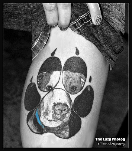dog white black tattoo bar ink cafe artist lazy tribute wyoming calf bartender elliott photograhy hiway photog 061115mandersonride