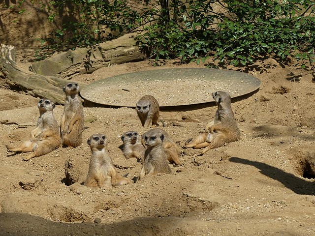 Zoo Duisburg
