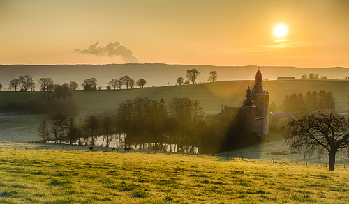 morning tree castle grass sunrise early belgium belgië hills goldenlight sippenaeken kasteelvanbeusdael