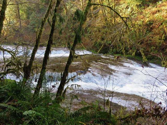 Small cascade along Sweet Creek