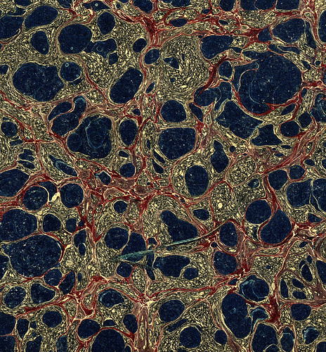 19th Century Marbled Paper. Turkish on Stormont Pattern.