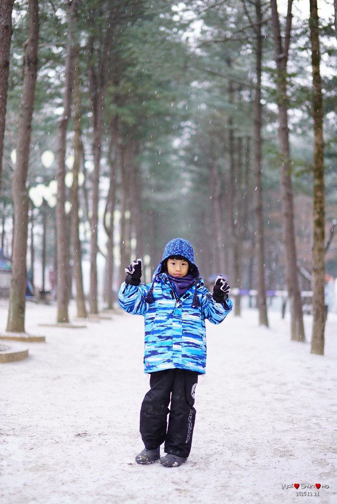 Snowing in Nami Island