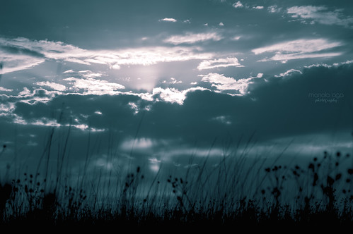 park light sunset sun sunlight nature grass silhouette clouds evening meadow tint thegalaxy
