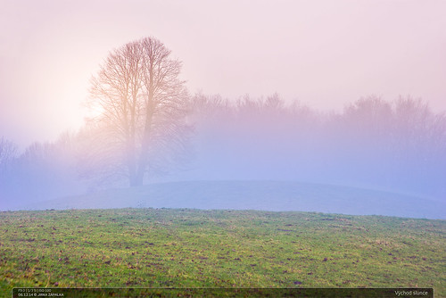 morning trees winter fog sunrise landscape czech pasture rano krajina beskydy mlha leskovec