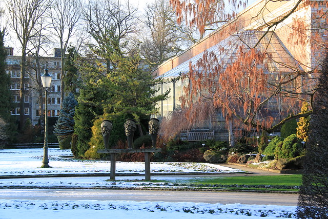 winter in de Leuvense Kruidtuin
