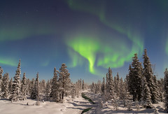 aurora
a.k.a. - aurora borealis, northern lights