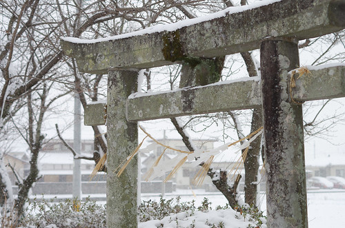 winter snow japan architecture shrine torii 中津市 大分県 ōitaken nakatsushi