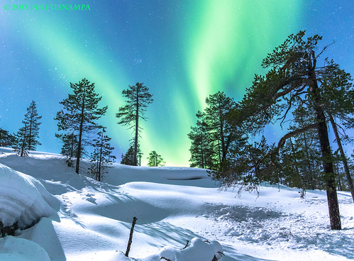trees snow pine suomi finland stars amazing rovaniemi aurora lapland stunning northernlights auroraborealis snowcovered lappi moonshine phenomenon norrsken polarlicht nordlicht revontulet tiainen haukivaara ylinampa