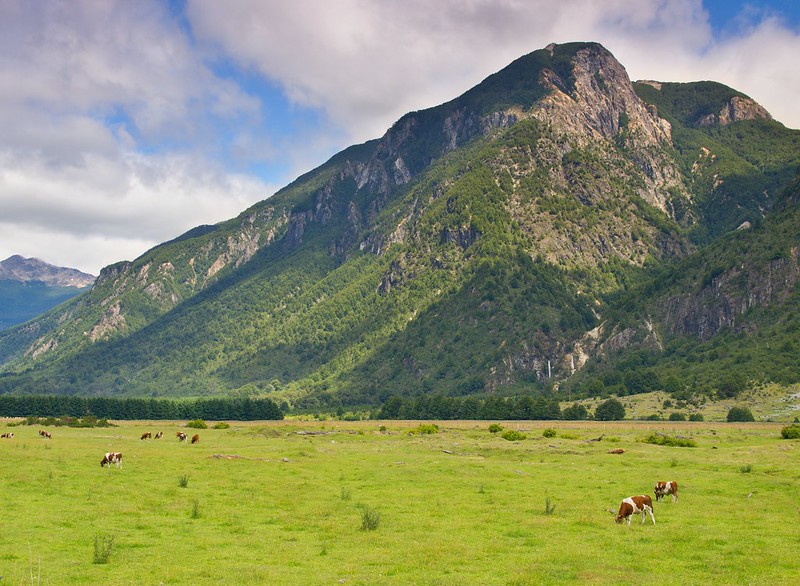 Ruta Austral: De Puerto Aysén a Puyuhuapi. Puerto Cisnes. Bosque encantado - Por el sur del mundo. CHILE (4)