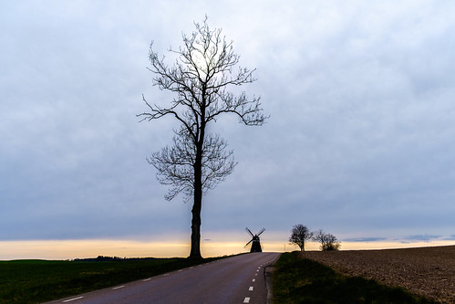 sunset sky tree windmill photography se skåne sweden f56 uncropped ystad 2016 skånelän xe2 xf1855mmf284rlmois ¹⁄₉₅₀sek ystadv 1210042016163818