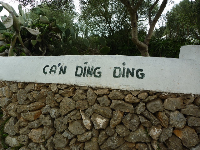Cassa Ding Ding