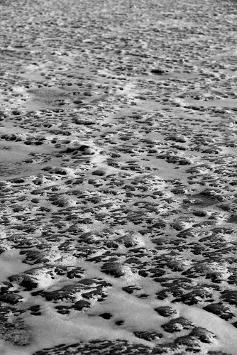 morning winter blackandwhite snow ice landscape lakewinnebago