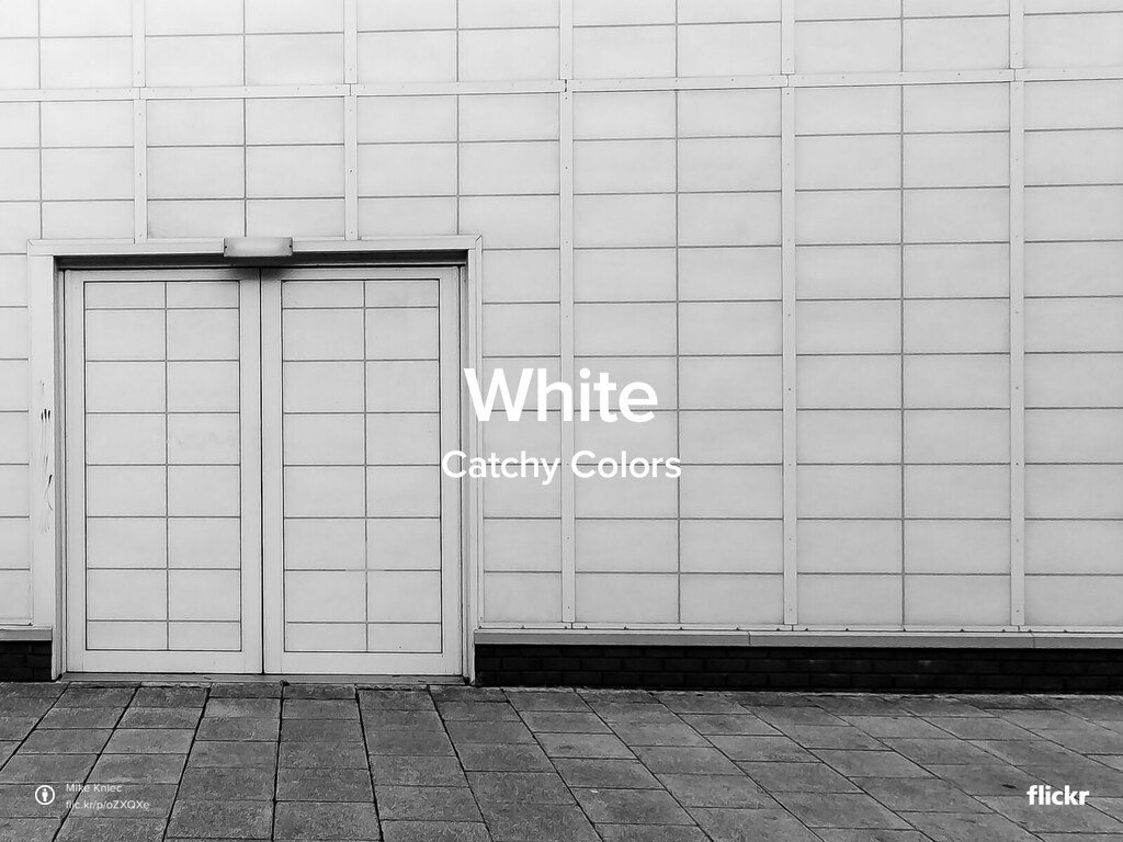 CatchyColors: White