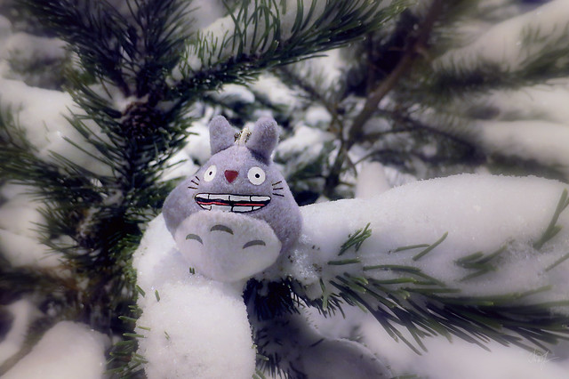 Day #18: totoro inspects the thickness of the snow cover on pine's twigs