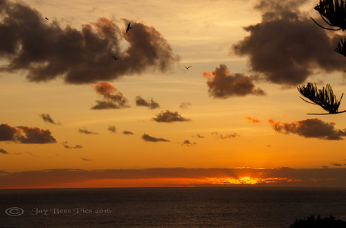 sunset portugal birds clouds ngc npc rays madeira atlanticocean funchal 2016 goldenlighting