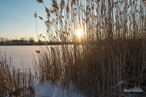 statepark blue winter light sunset sky sun sunlight snow cold grass reeds gold golden evening illinois pond january sunny clear 2016 kevinpalmer bannermarsh statewildlifearea tamron2470mmf28 nikond750