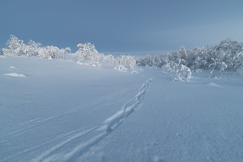 winter cold norway frosty arctic alta finnmark stilla 14mm samyang