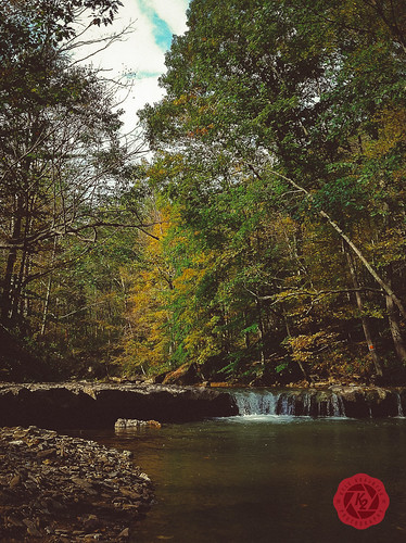 autumn ohio fall nature water leaves mobile creek us woods stream unitedstates 2011 belmontcounty peavinecreek alledonia