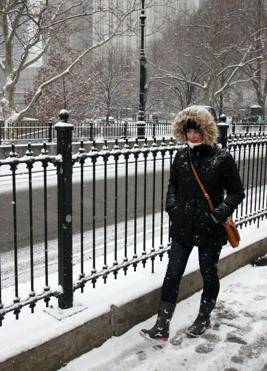 Hi Sugarplum | Winter in NYC