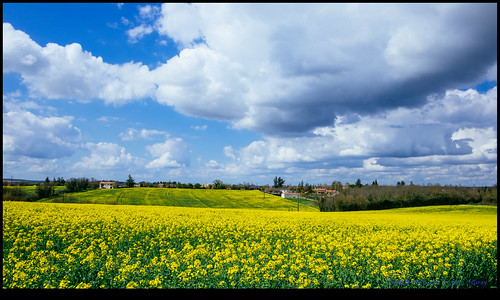 sky france clouds fields eurotrip fr barro rapeseed 2016 aquitainelimousinpoitoucharentes aquitainelimousinpoitoucharen