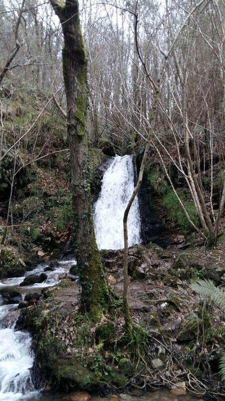 Cascada del Nonaya (Salas) - Descubriendo Asturias (26)