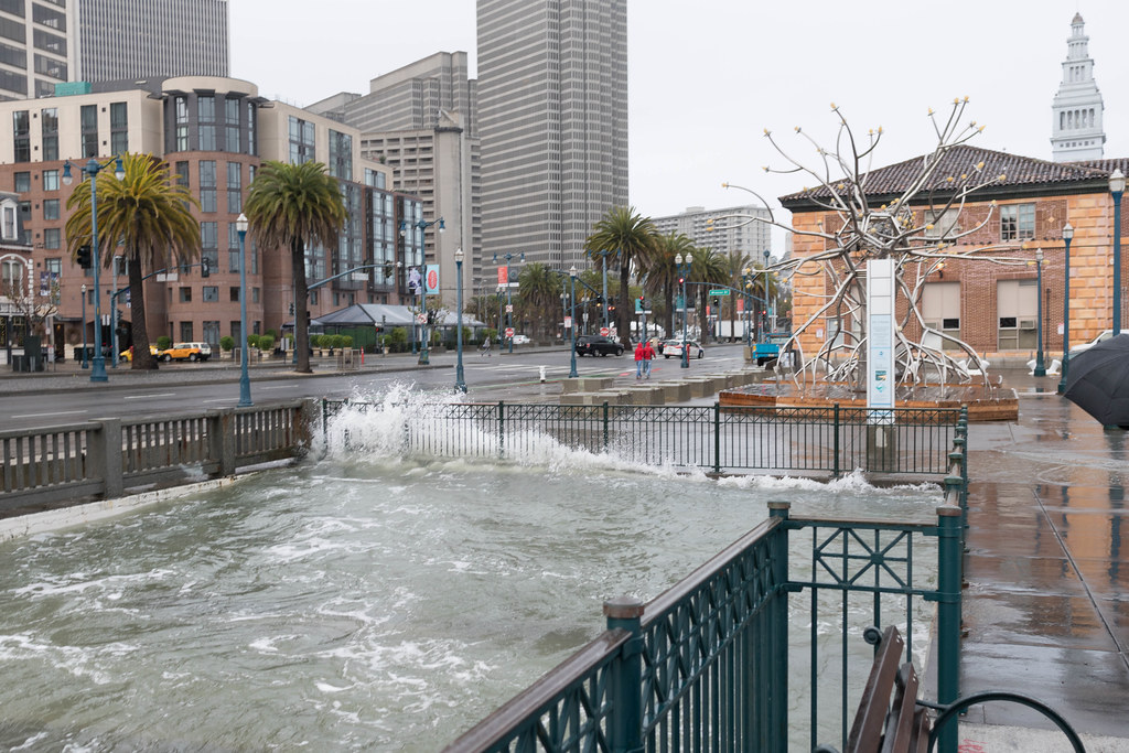 A Project to Photograph King Tides in the San Francisco Bay Area