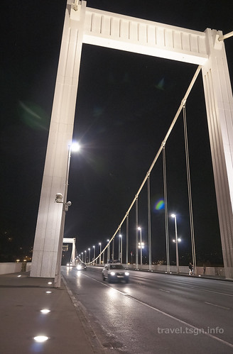 【写真】2015 東欧周遊 : エルジェーベト橋/2020-03-05/PICT3616