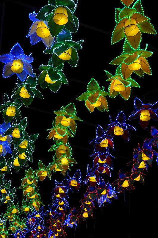 Flower Lanterns