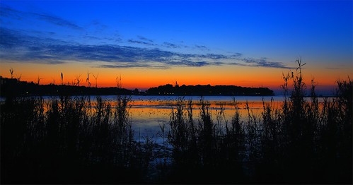 sunset birds reflections reeds hrvatska poreč plavalaguna