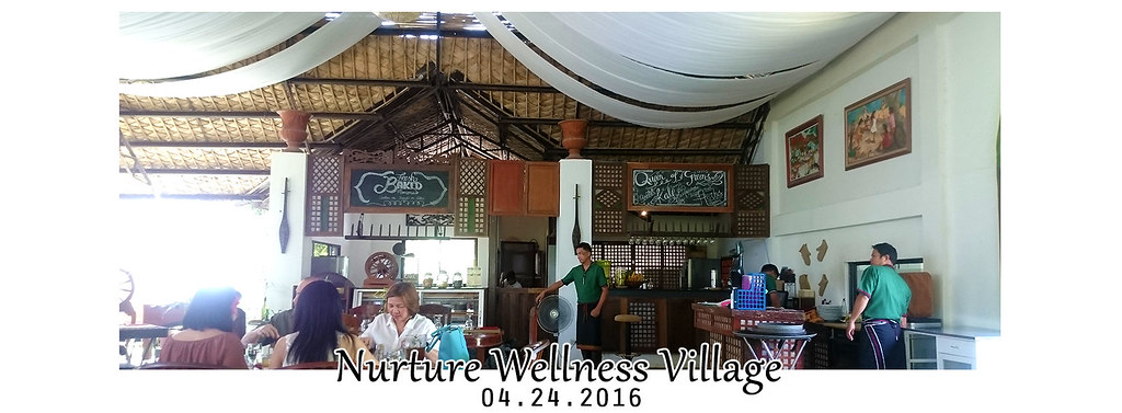 Nurture Wellness Village