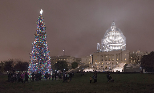 The Capitol Christmas Tree glows with lights in front of the Capitol in Washington, DC, during a lighting ceremony in December.